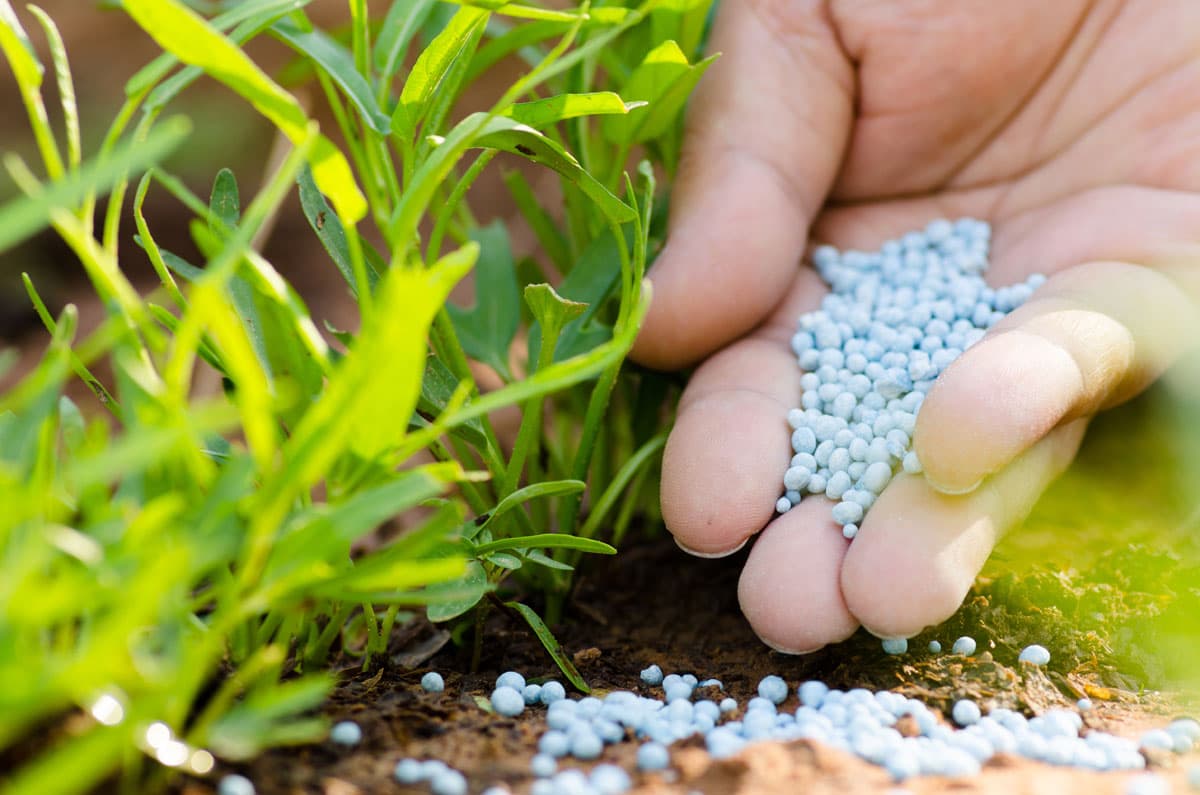 Fertilizantes, abonos y piensos en Valga y Negreira