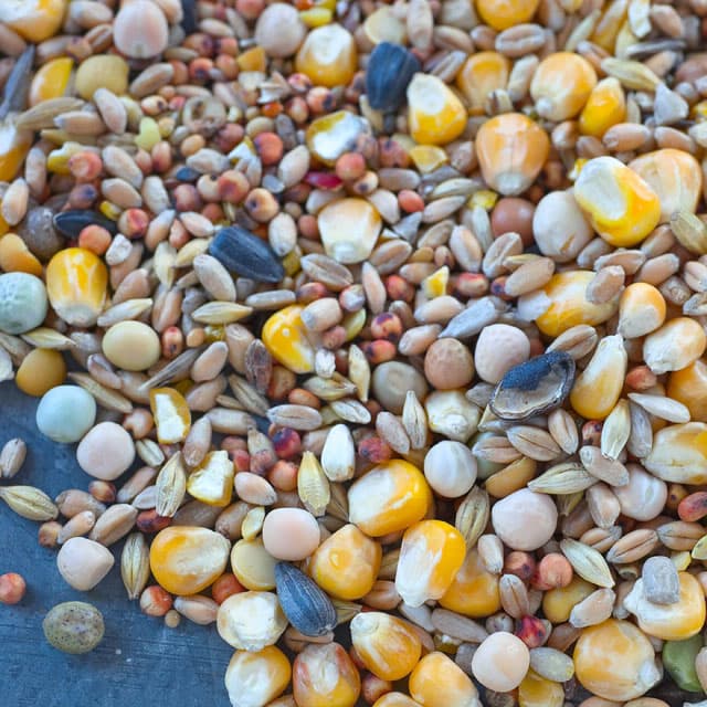 Cereales Bronllo, venta de piensos y abonos en Valga y Negreira